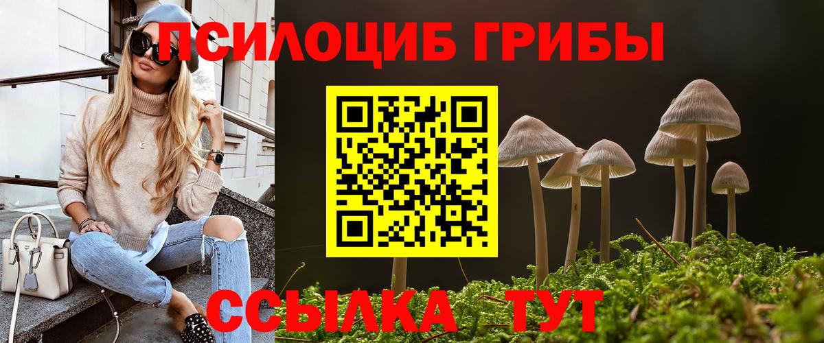 Псилоцибиновые грибы Cubensis  Вход с VPN  Приморско-Ахтарск  Галлюциногенные грибы ЛСД 