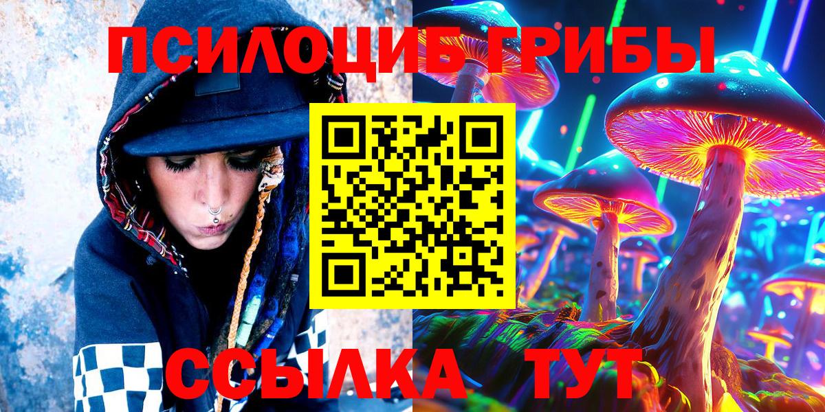 Псилоцибиновые грибы Psilocybe Приморско-Ахтарск